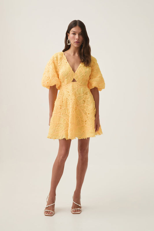 Aje Florential Mini Swing Dress